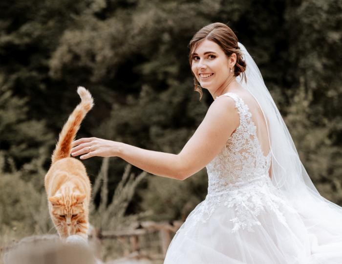 Hochzeit Ermitage Braut Mit Brauner Katze